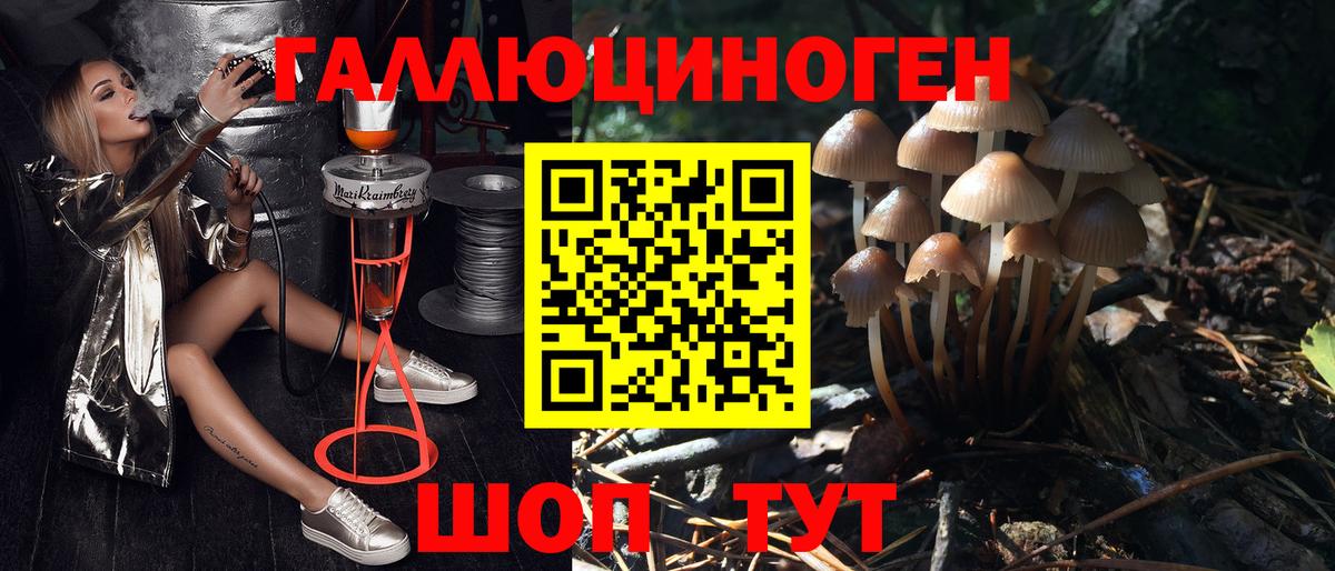 Ставрополь  Галлюциногенные грибы Magic Shrooms  Вход с VPN 